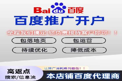 某公司信息流广告的精准投放与效果评估